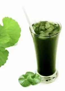 Rau má tươi nguyên chất - 30.000 ₫ tại BÚN CHẢ HÀ NỘI - Đường 25A
