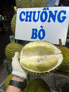 Hình ảnh Cơm sầu riêng Chuồng Bò - Hộp 1kg