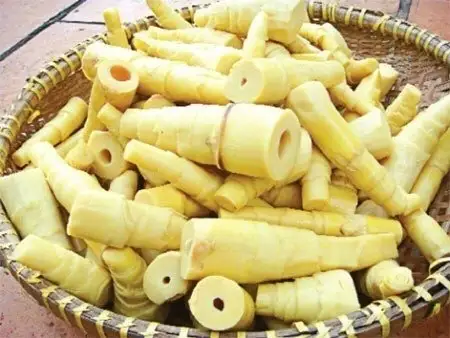 Hình ảnh Măng thêm