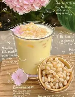 Hình ảnh sữa chua kiều mạch