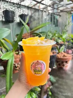 Hình ảnh trà đào