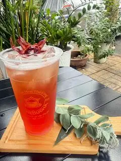 Hình ảnh Kombucha Fresh Hoa Atiso