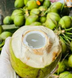 Hình ảnh Quả dừa xiêm