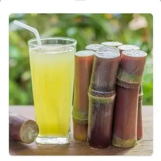 Hình ảnh Nước mía đá 500ml