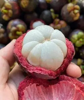Hình ảnh măng cụt đặt biệt