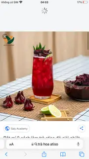 Hình ảnh Trà hoa atiso