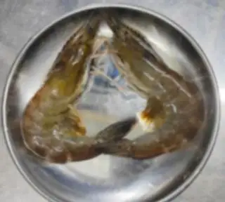 Hình ảnh Tôm
