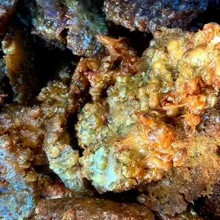 Bánh tôm chiên giòn - 8.000 ₫ tại Bánh Cuốn Nóng Triệu Hổ - Nguyễn Thái Sơn