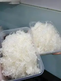 Hình ảnh 100GRAM YẾN TƯƠI CHƯNG NỞ KÈM ĐỒ CHƯNG