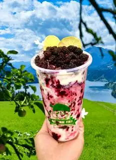 Hình ảnh Yaour Dâu Tằm 