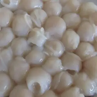 Hình ảnh Răng mực