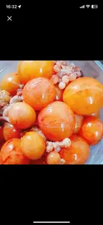 Hình ảnh trứng non thả lẩu