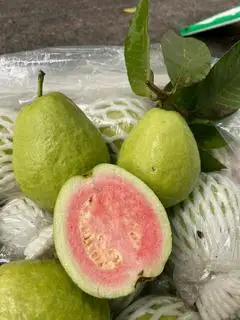 Hình ảnh Ổi Đào Vân Nam