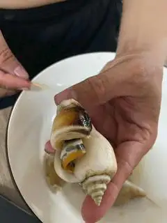 Hình ảnh ốc nhảy cái hấp sả