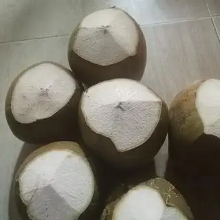 Hình ảnh Dừa Xiêm ướp Lạnh 