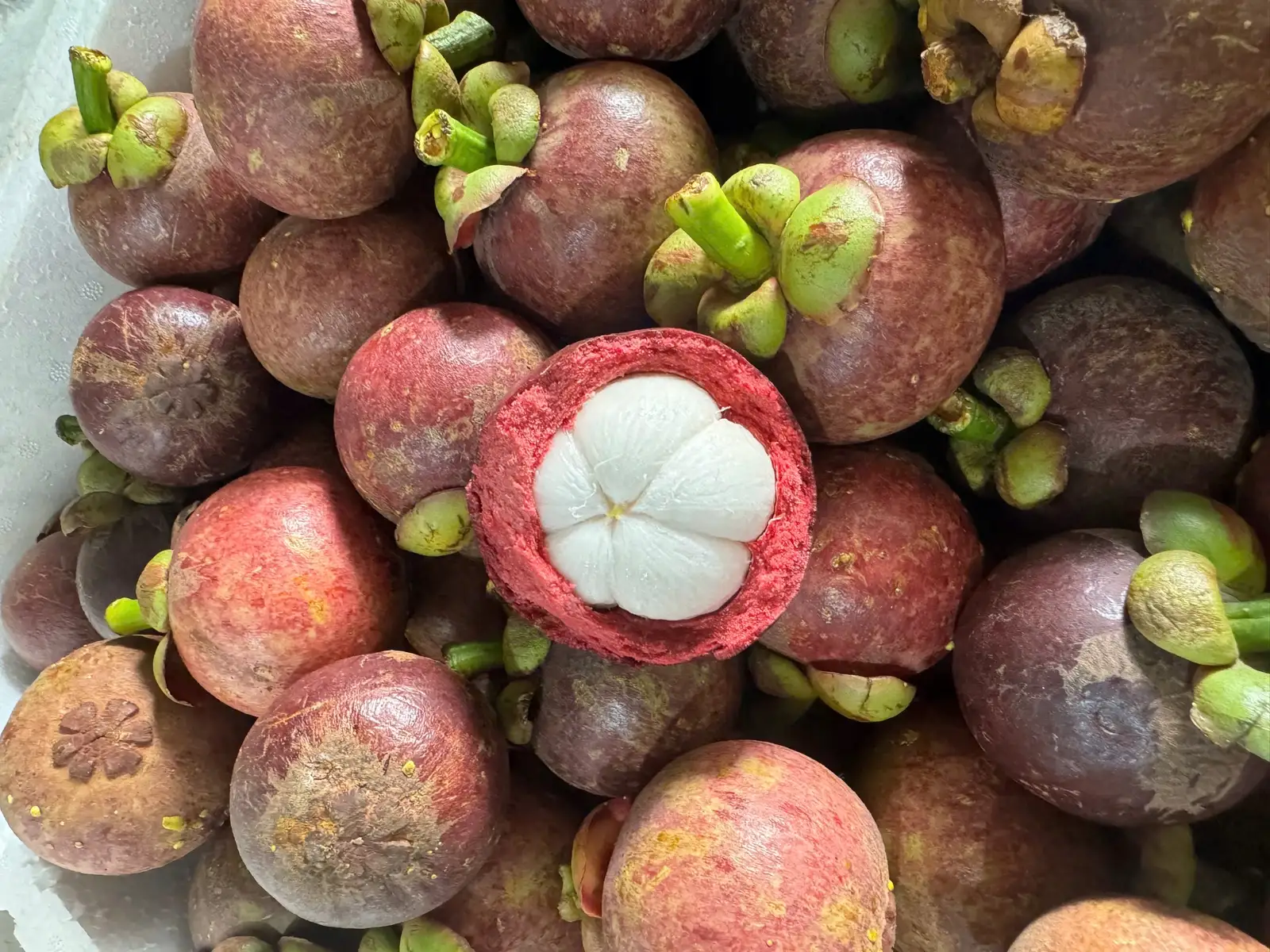 Hình ảnh 500gr măng cụt Bảo Lộc ngọt thơm