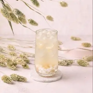Hình ảnh Dừa Thanh Sương 