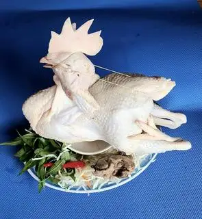Hình ảnh GÀ CÚNG Tươi sống