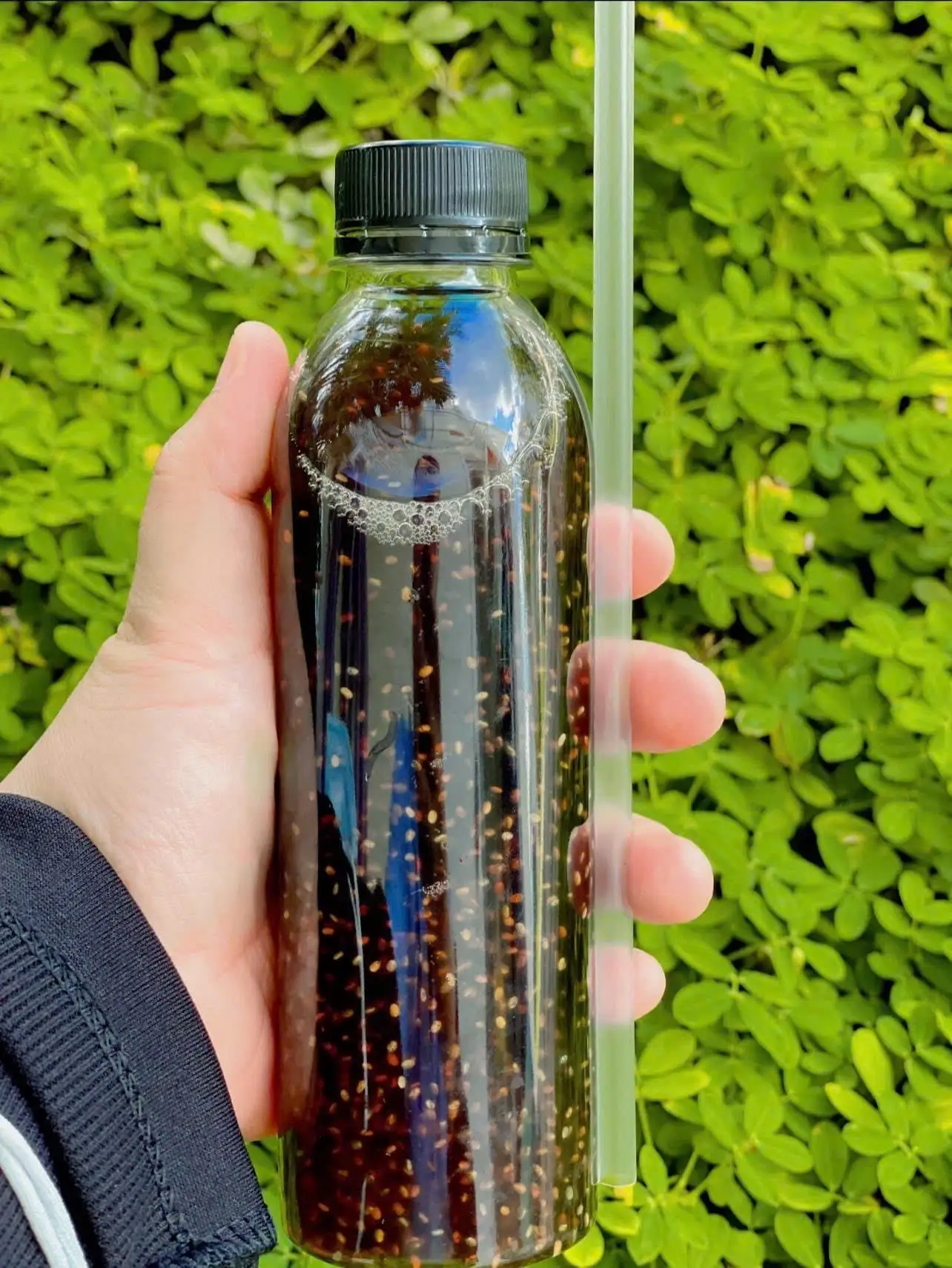 Hình ảnh Sâm bí đao hạt chia sương sáo