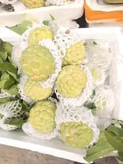 Hình ảnh 1kg Na ta