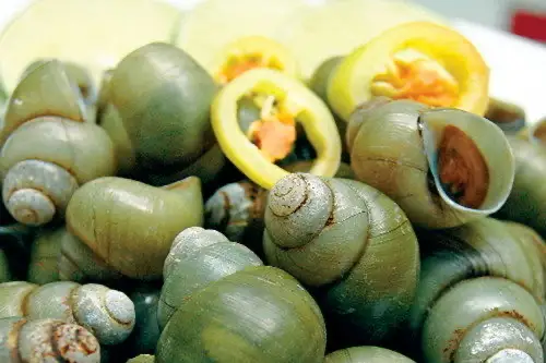 Hình ảnh Ốc Gạo Chấm Mắm Tắc 