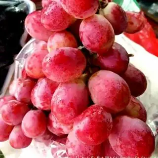 Hình ảnh Nước ép nho