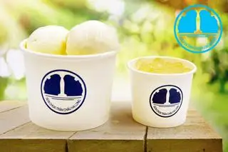 Sữa Chua Trân Châu Trắng - 35.000 ₫ tại Sữa Chua Trân Châu Hạ Long - 391 Trần Hưng Đạo