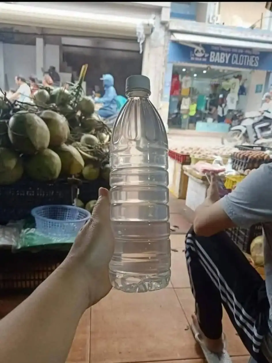 Hình ảnh Nước dừa xiêm - 3chai