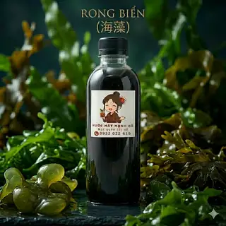 Hình ảnh Sâm Rong Biển Mát Lạnh - Thanh Nhiệt Giải Độc Giảm Nóng Cho Làn Da Đẹp