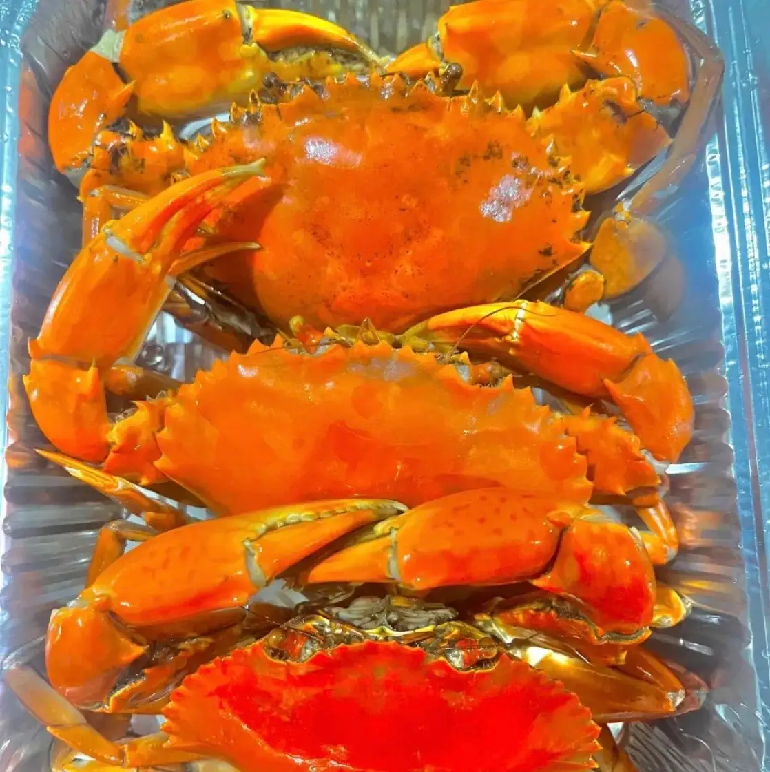 Hình ảnh 3 CUA THỊT SIZE VỪA HẤP