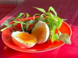 Hình ảnh Trứng Gà Ác Lạt