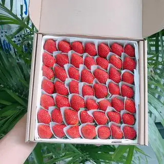 Hình ảnh Dâu nhật skyberry size lớn vừa