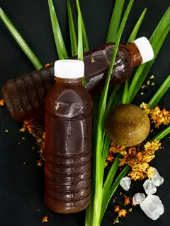 Sâm Thảo Mộc - 18.000 ₫ tại Dâu Lắc Té Re - Nguyễn Thượng Hiền