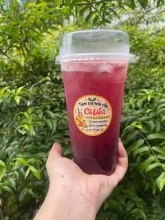 Hình ảnh Trà Việt Quất