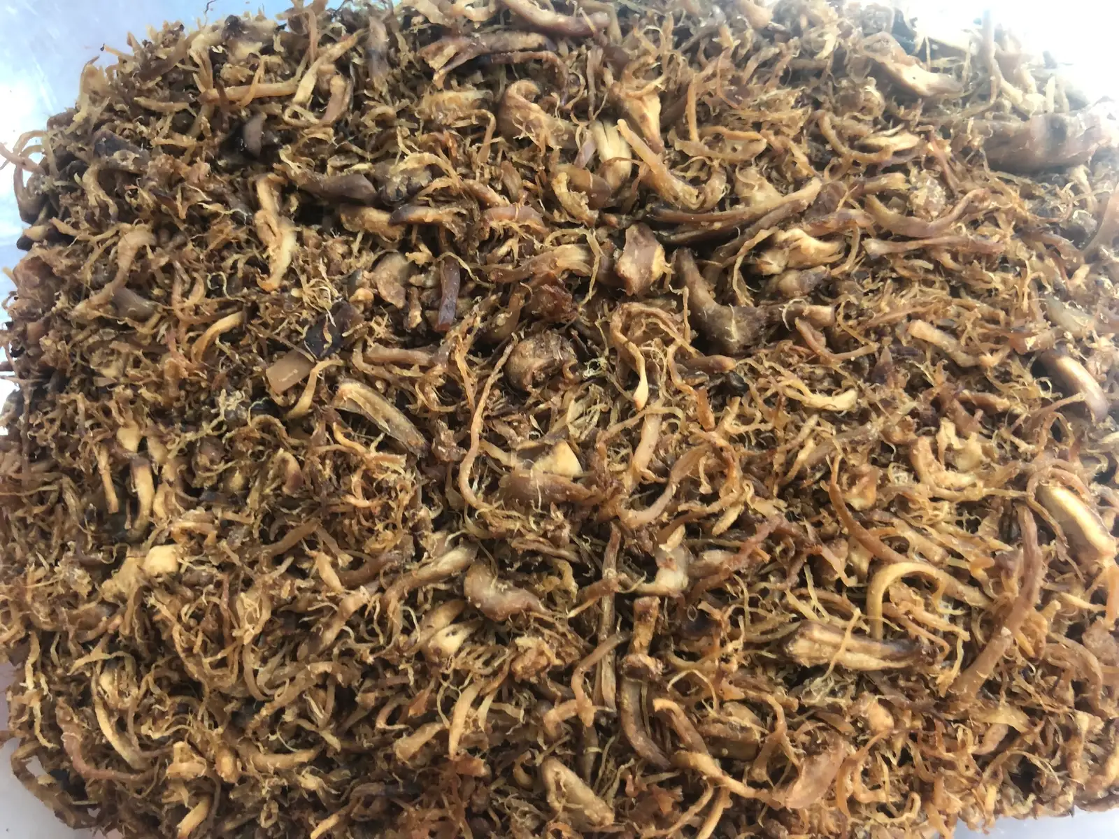 Hình ảnh Nấm thêm