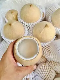 Hình ảnh Dừa Xiêm Trọc Lạnh