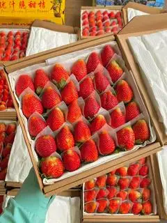 Hình ảnh Dâu Nhật size 36 - 500gr