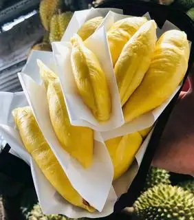  Musangking khay to siêu ngon 500g - 259.000 ₫ tại Sầu Riêng Sài Gòn - Cống Quỳnh