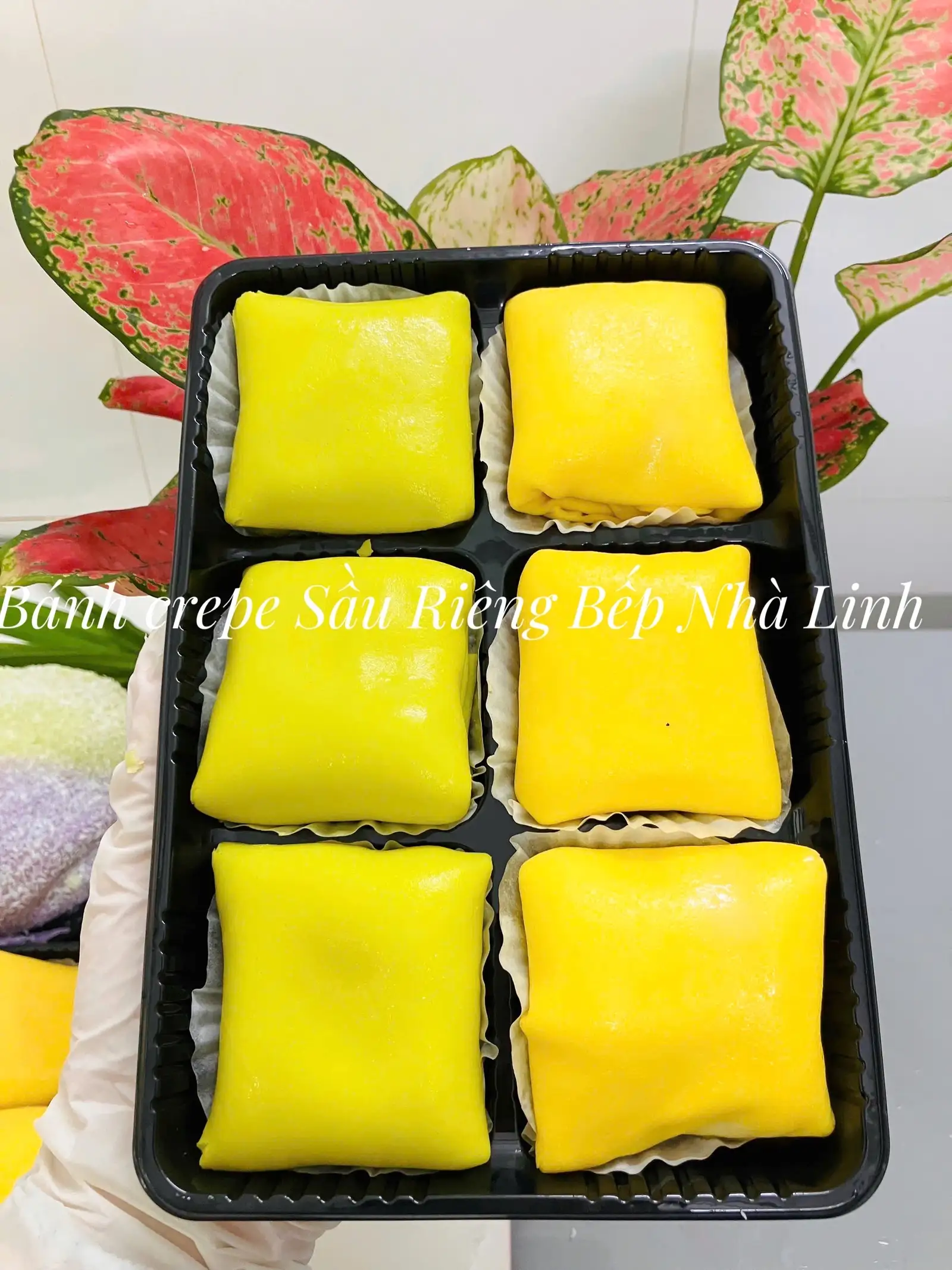 Hình ảnh HỘP 6 BÁNH CREPE SẦU RIÊNG MIX XANH- VÀNG