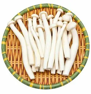 Hình ảnh Nấm
