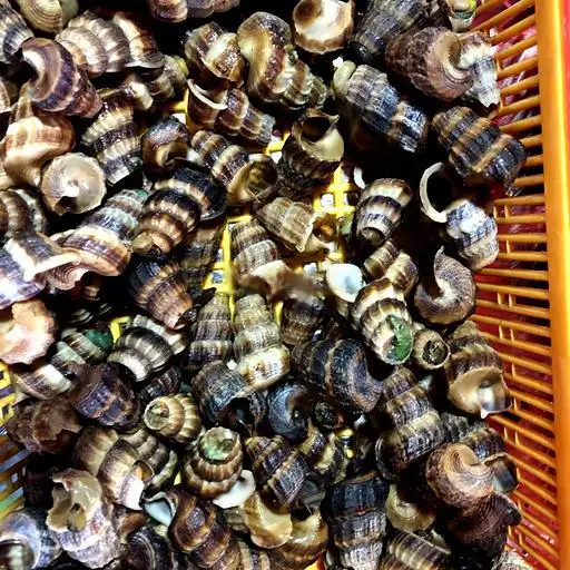 Hình ảnh Ốc len xào dừa