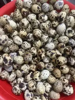 Trứng cút - 1.600 ₫ tại Bánh Tráng Cô Sương - Bánh Tráng Chấm & Bánh Tráng Cuốn - Phùng Văn Cung