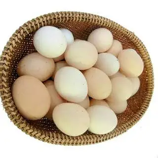 Hình ảnh Trứng Gà Ta