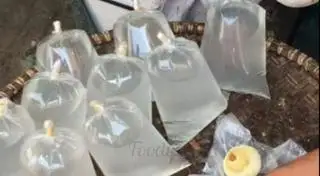 Hình ảnh 1 lít dừa xiêm bỏ túi