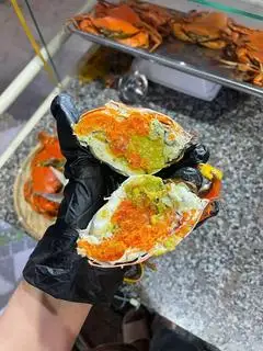 Hình ảnh 1 con cua Gạch( size lớn)