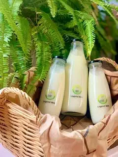 Hình ảnh Sữa tươi hữu cơ nguyên chất 100% thanh trùng HF Legend Milk 1000ml