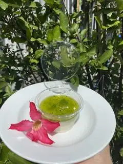 Hình ảnh Panna cotta vị kiwi