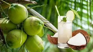 Hình ảnh nước dừa xiêm 