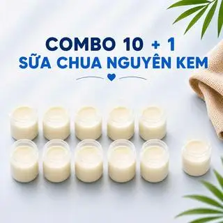 Hình ảnh COMBO 10+1 SỮA CHUA NGUYÊN KEM BÉ BI