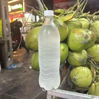Hình ảnh Chai nước dừa xiêm 1 lít nguyên chất 100%